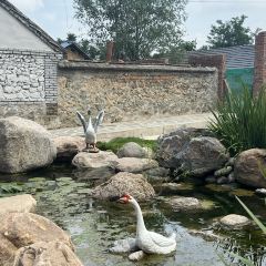 产芝渔家 User Photo