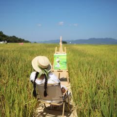 在发呆·lan's浪肆咖啡庄园 User Photo