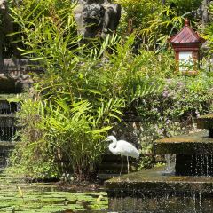 Pasar Senggol User Photo