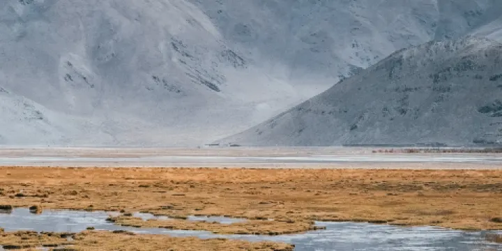 定結縣濕地王國