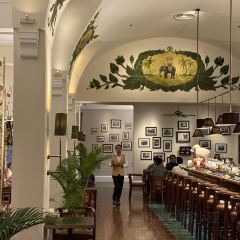Elephant Bar 여행 사진