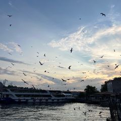 Gulhane Sark Sofrasi User Photo