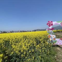 Sanshi Restaurant User Photo