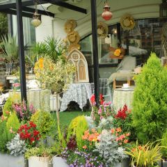 24H color咖啡廳張用戶圖片