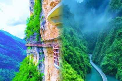 张关合渣(兴隆大道店)