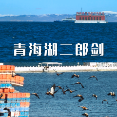 青海土火锅(建设西路店) User Photo