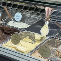 boheng 55 User Photo