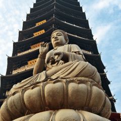 西部牛扒城張用戶圖片