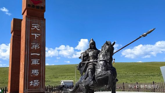 Grassland Team of No.1 Army Horse Ranch