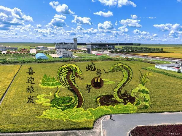 Qixing Farm Airport Rice Field Art