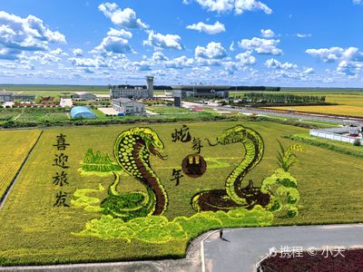 Qixing Farm Airport Rice Field Art