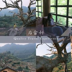 云上平田·爷爷家咖啡 User Photo