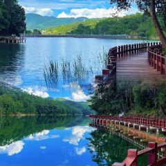 申记臭豆腐煮鱼(五一步行街店) User Photo