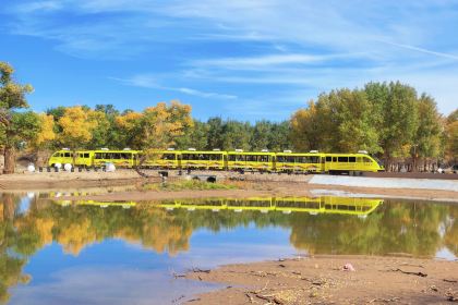 泽成冰煮羊(大盛魁店)