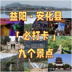 SHANGXILEICHA User Photo