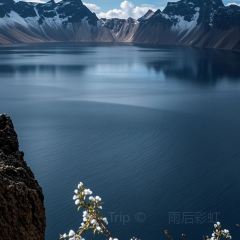 CHANG BAI SHAN XIAO MU WU MI JIU DIAN User Photo