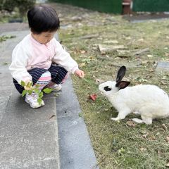 二子蒲包肉 여행 사진