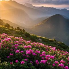 官塘弟少坚牛肉火锅 여행 사진