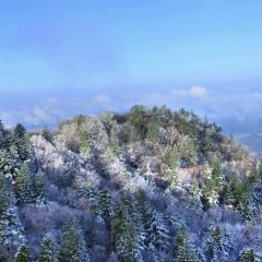 中街吊炉饼鸡蛋糕小吃部 User Photo