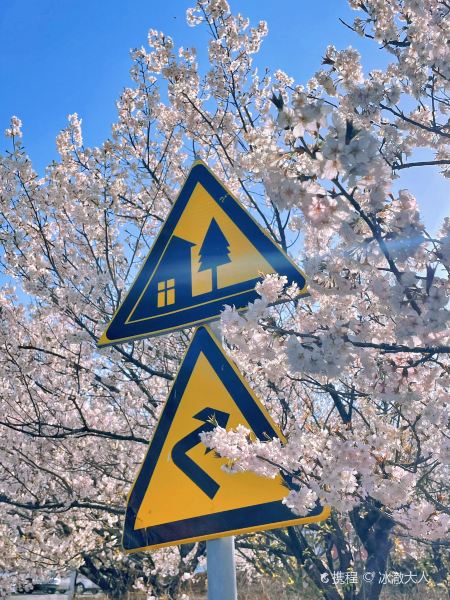 WEN LONG NONG GU YAN