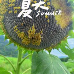 点将台庄园火锅 User Photo