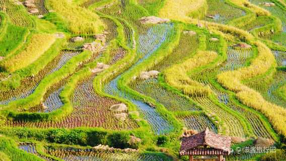 Xiaosang Terraces