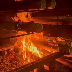 竹雅農莊張用戶圖片