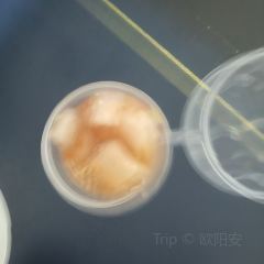 楠包子 User Photo