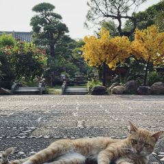 chill cafe User Photo