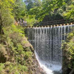 404Brunch&Bistro User Photo