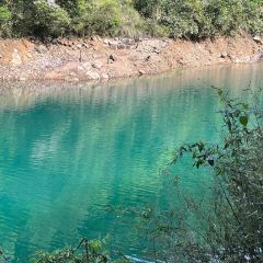 404Brunch&Bistro User Photo