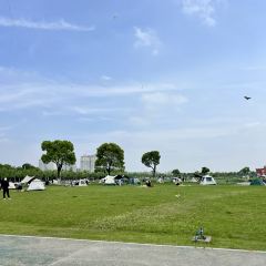 平湖派咖啡馆 User Photo