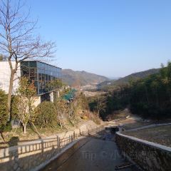 竹乡味道·老安吉味 User Photo