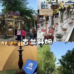 ZHENG FEI DAIRY 여행 사진