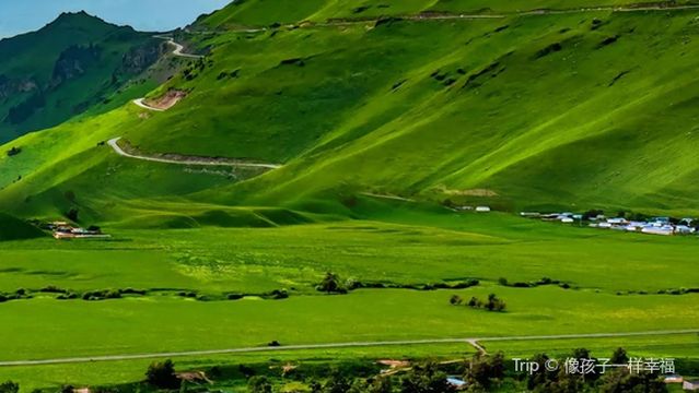 Tianshan Stone Forest