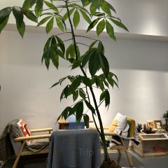 山海家茶屋 User Photo