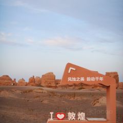 思露杏皮茶 User Photo