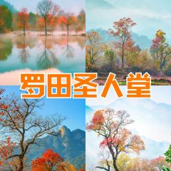 Sage Hall Homestay User Photo