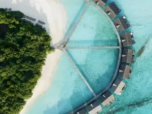 Moodhu Bar & Restaurant