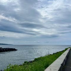 Excelso User Photo