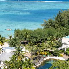 Ohas cafe (Kensington) User Photo