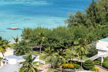 Ohas cafe (Kensington)