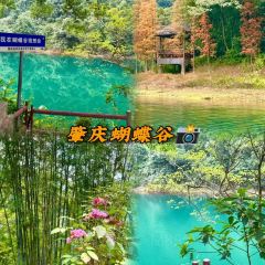 鼎湖山酒家 User Photo