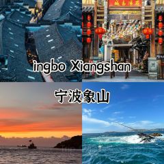 觅野仙踪·海东方VILLA海景度假美宿(舟山鹿栏晴沙店)·My forest cafe User Photo