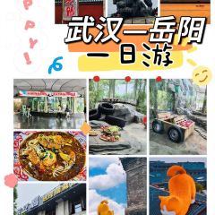細毛蒸蝦張用戶圖片