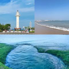 东夷海鲜巨无霸(东夷小镇店) User Photo