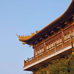 Qisu Court User Photo