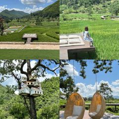 BAI YUN User Photo