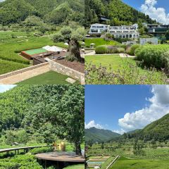 BAI YUN User Photo