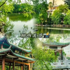 韋韋木薯羹張用戶圖片